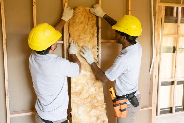 Best Home Insulation Services  in Vinita, OK